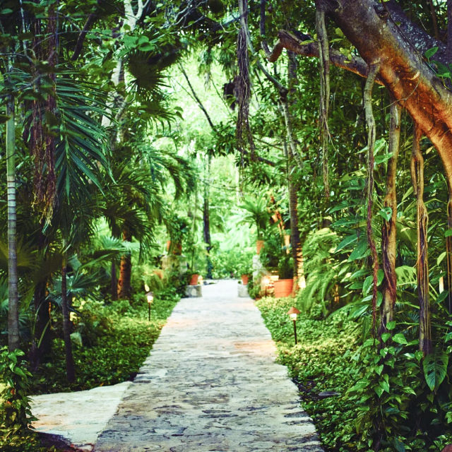Gallery 20 - Image 4
